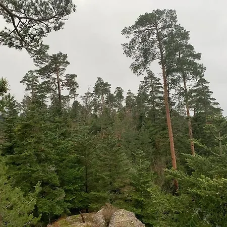 Prázdninový dům Du Lilas Mortagne