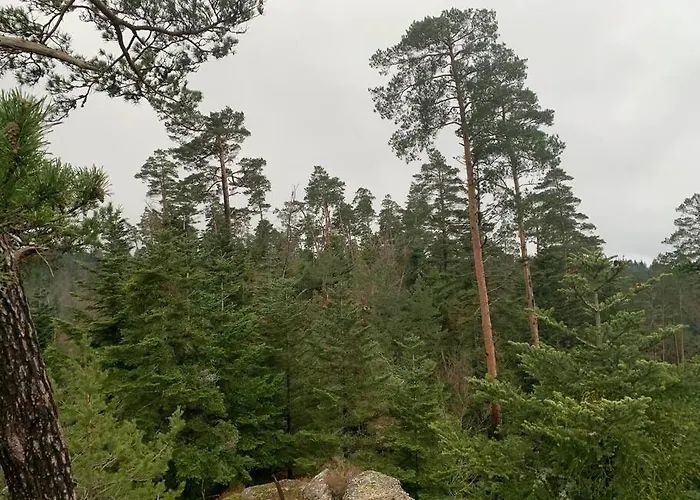 別荘 Du Lilas Mortagne